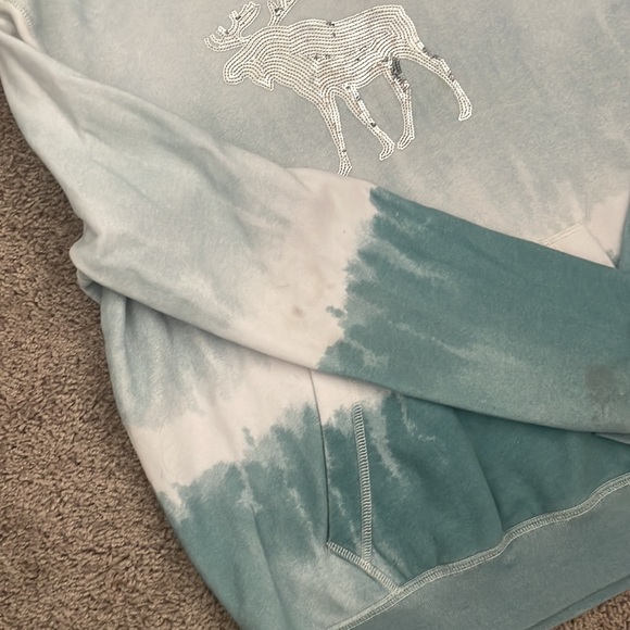 teal Abercrombie kids hoodie. GUC - Picture 2 of 2
